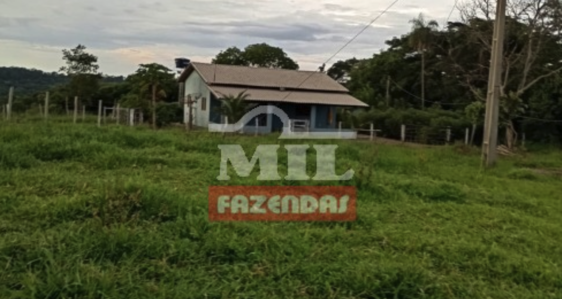 Fazenda em Pontalina - Goiás – Mil Fazendas