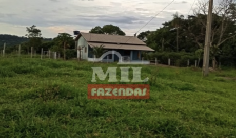 Fazenda em Pontalina - Goiás – Mil Fazendas