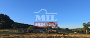 Fazenda em Prata - Minas Gerais – Mil Fazendas