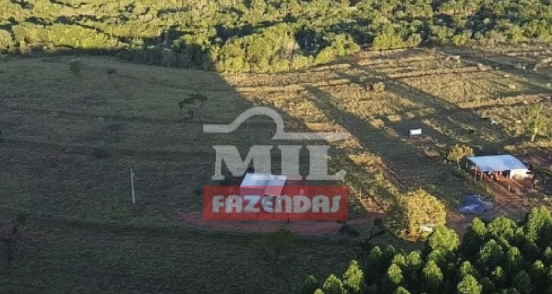 Fazenda em Prata - Minas Gerais – Mil Fazendas