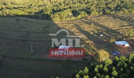 Fazenda em Prata - Minas Gerais – Mil Fazendas