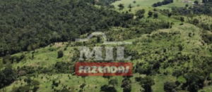 Fazenda em Rubiataba - Goiás – Mil Fazendas