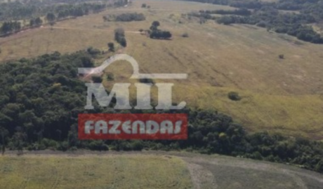 Fazenda em Santa Cruz de Goiás - Goiás – Mil Fazendas