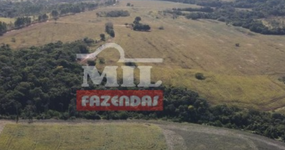 Fazenda em Santa Cruz de Goiás - Goiás – Mil Fazendas