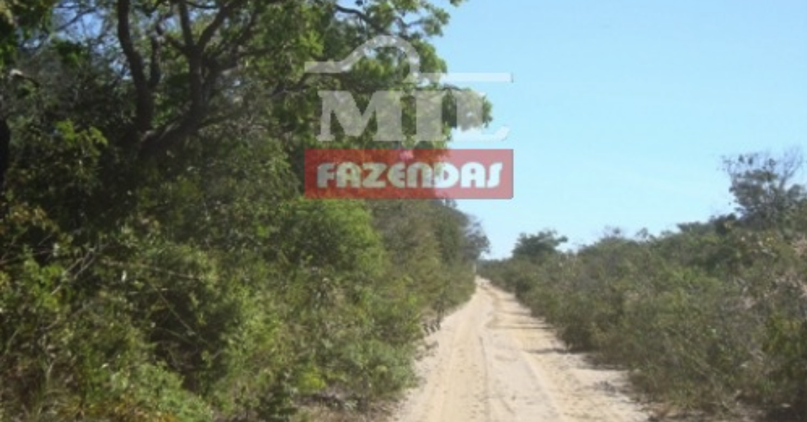 Fazenda em Santa Fé de Minas - Minas Gerais – Mil Fazendas