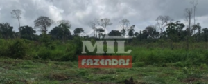 Fazenda em Santarém - Pará – Mil Fazendas