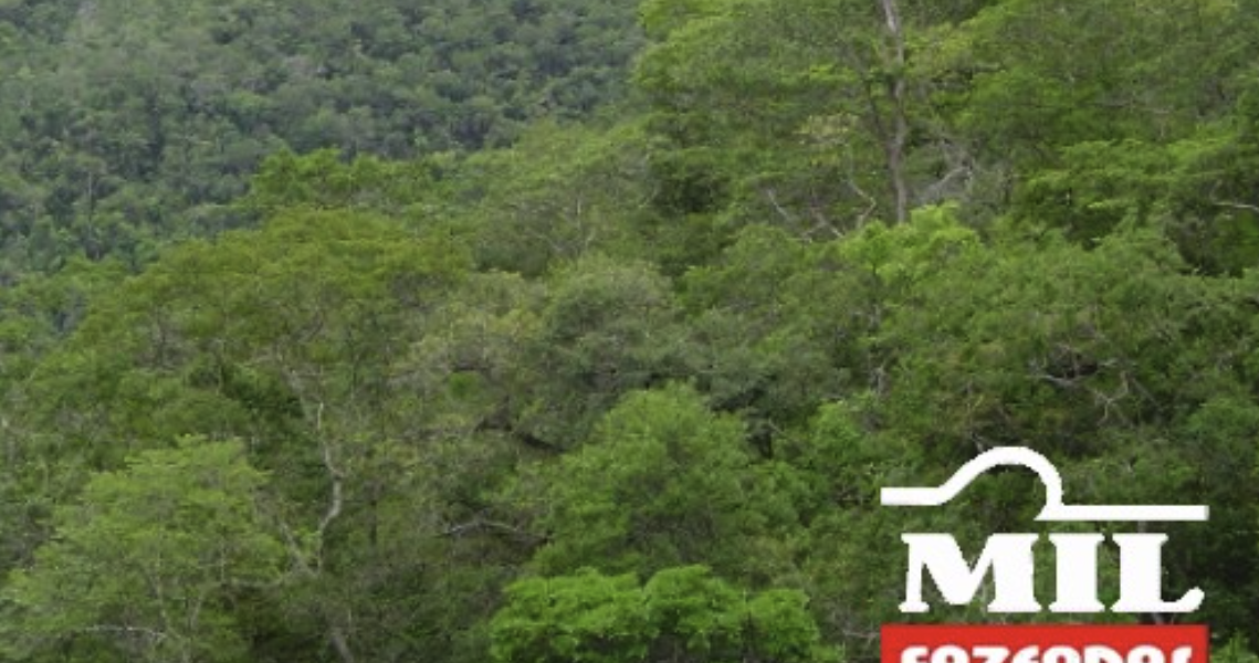 Fazenda em São João d'Aliança - Goiás – Mil Fazendas