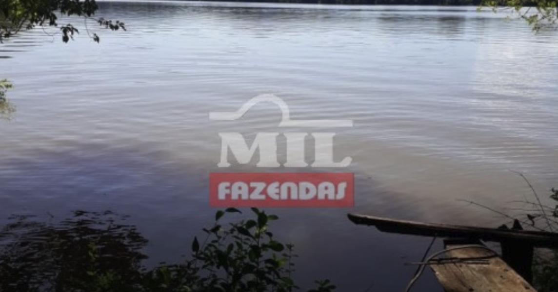 Fazenda em São Salvador do Tocantins - Tocantins – Mil Fazendas