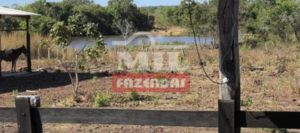 Fazenda em Talismã - Tocantins – Mil Fazendas