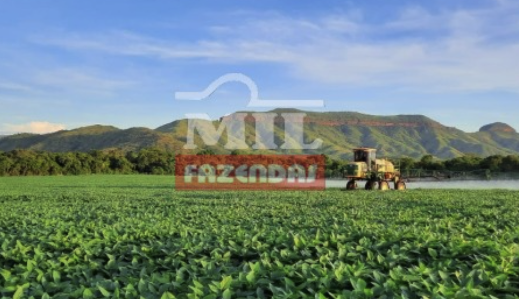 Fazenda em Uruaçu - Goiás – Mil Fazendas