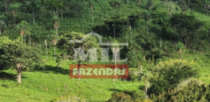 Fazenda em Uruaçu - Goiás – Mil Fazendas