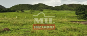 Fazenda em Campina Verde - Minas Gerais – Mil Fazendas