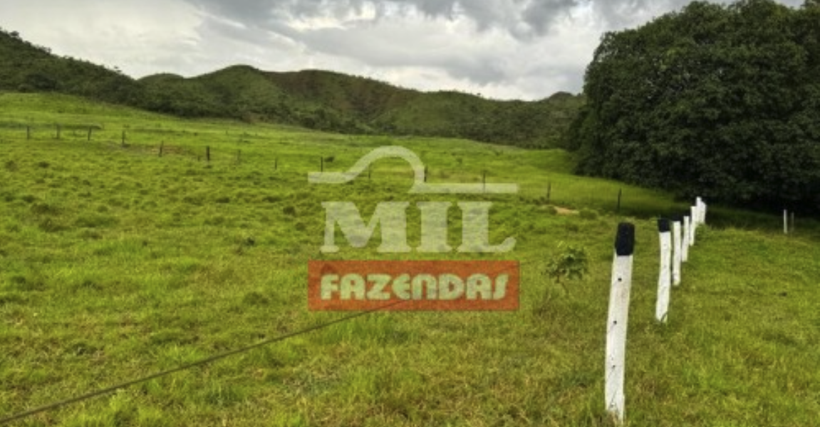 Fazenda em Campina Verde - Minas Gerais – Mil Fazendas