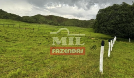 Fazenda em Campina Verde - Minas Gerais – Mil Fazendas