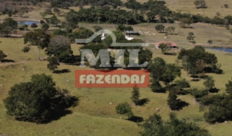 Sítio em Anicuns - Goiás – Mil Fazendas