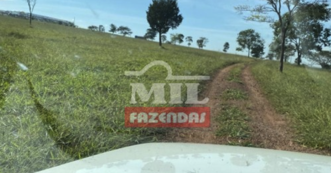 Fazenda em Abadiânia - Goiás – Mil Fazendas