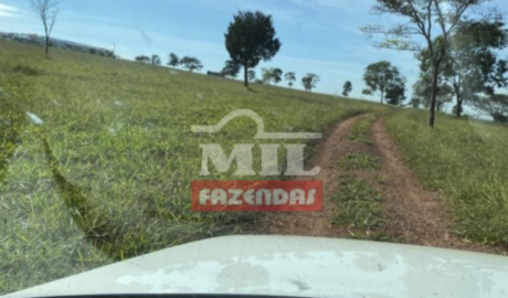 Fazenda em Abadiânia - Goiás – Mil Fazendas