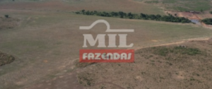 Fazenda em Água Boa - Mato Grosso – Mil Fazendas