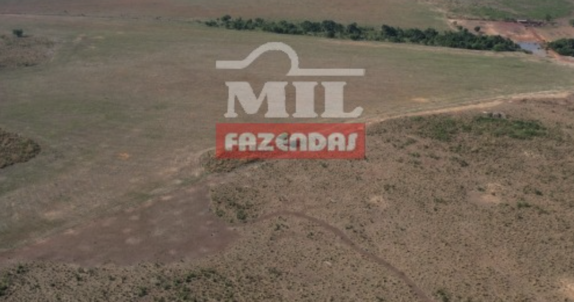 Fazenda em Água Boa - Mato Grosso – Mil Fazendas