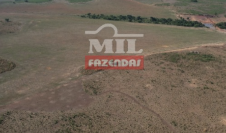 Fazenda em Água Boa - Mato Grosso – Mil Fazendas