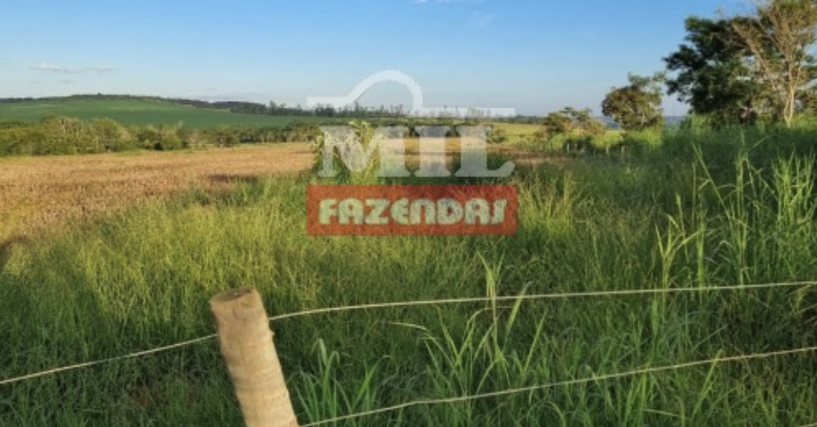 Fazenda em Alexânia - Goiás – Mil Fazendas