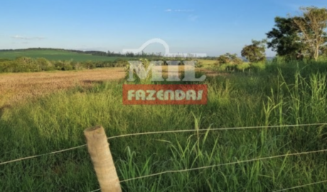 Fazenda em Alexânia - Goiás – Mil Fazendas