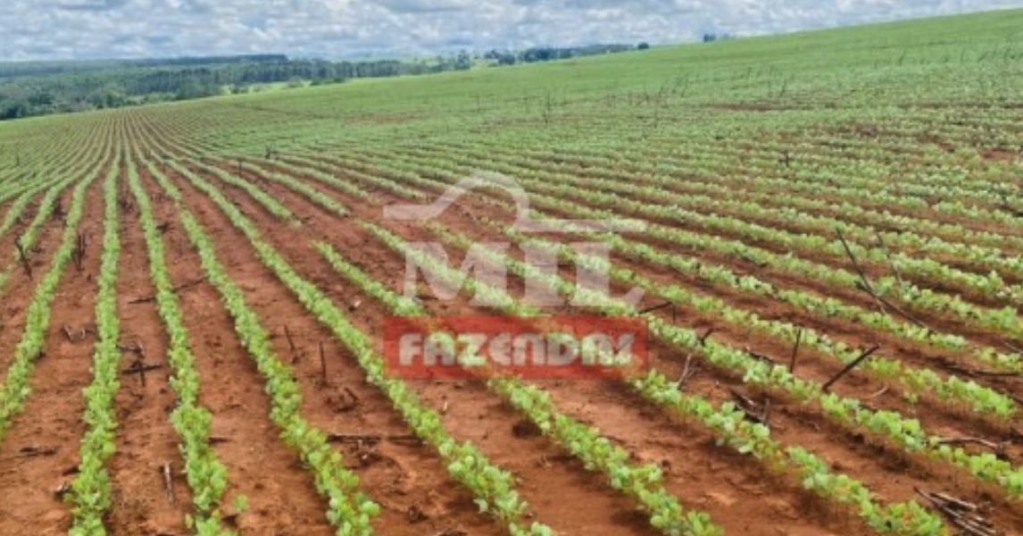 Fazenda em Anápolis - Goiás – Mil Fazendas