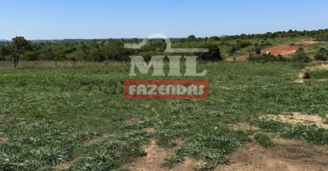 Fazenda em Cachoeira de Goiás - Goiás – Mil Fazendas