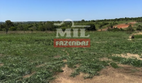 Fazenda em Cachoeira de Goiás - Goiás – Mil Fazendas