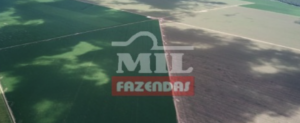 Fazenda em Canarana - Mato Grosso – Mil Fazendas