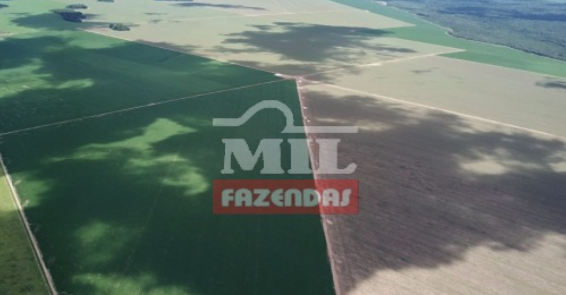 Fazenda em Canarana - Mato Grosso – Mil Fazendas