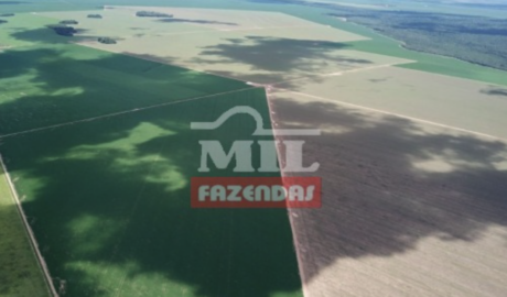 Fazenda em Canarana - Mato Grosso – Mil Fazendas