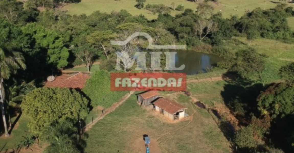 Fazenda em Caturaí - Goiás – Mil Fazendas