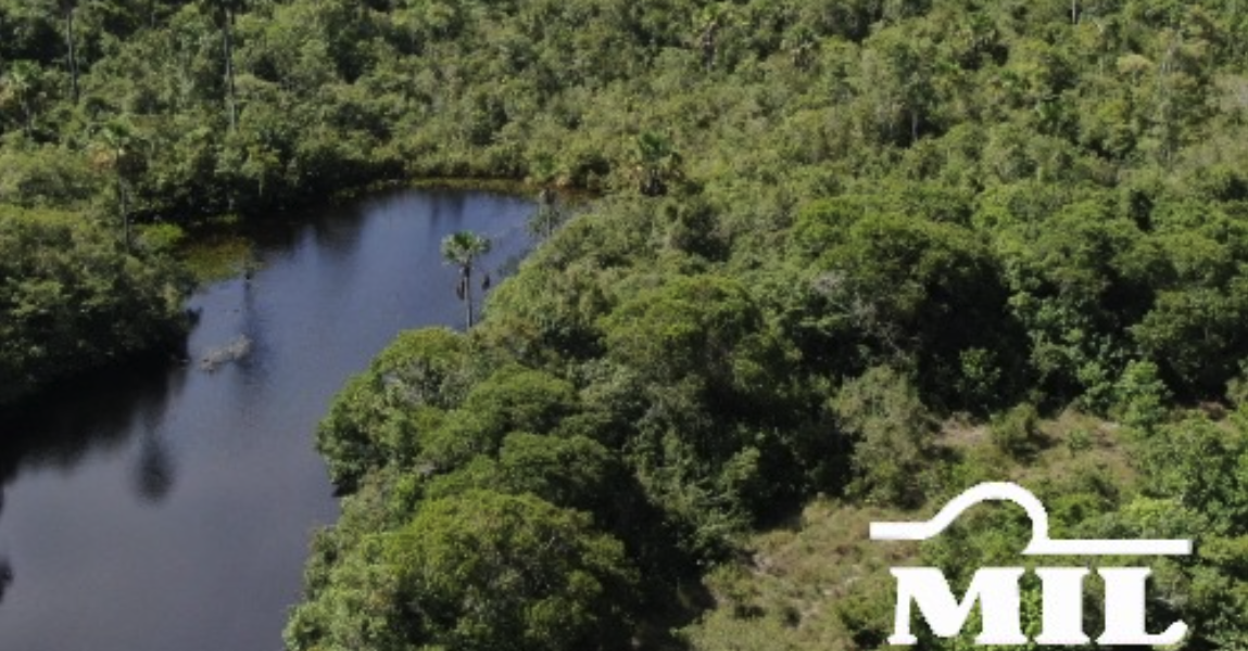 Fazenda em Cocalinho - Mato Grosso – Mil Fazendas