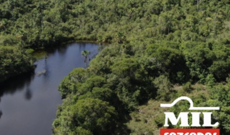 Fazenda em Cocalinho - Mato Grosso – Mil Fazendas