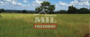 Fazenda em Conceição do Tocantins - Tocantins – Mil Fazendas