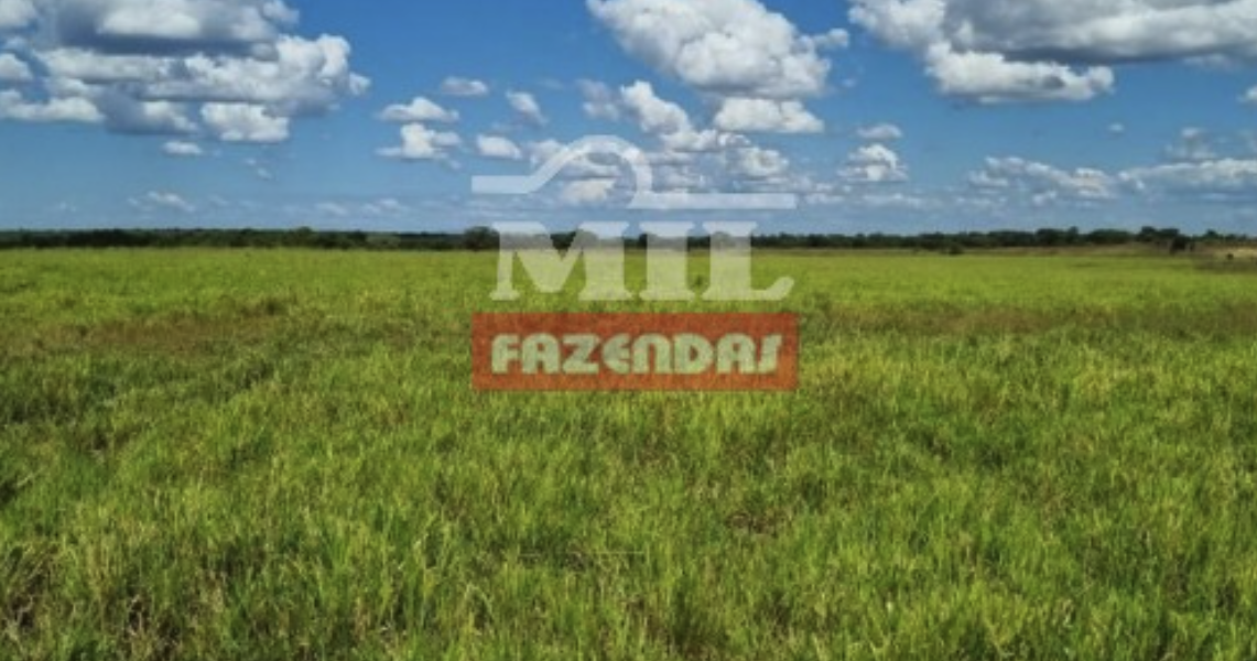 Fazenda em Conceição do Tocantins - Tocantins – Mil Fazendas