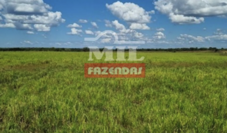 Fazenda em Conceição do Tocantins - Tocantins – Mil Fazendas