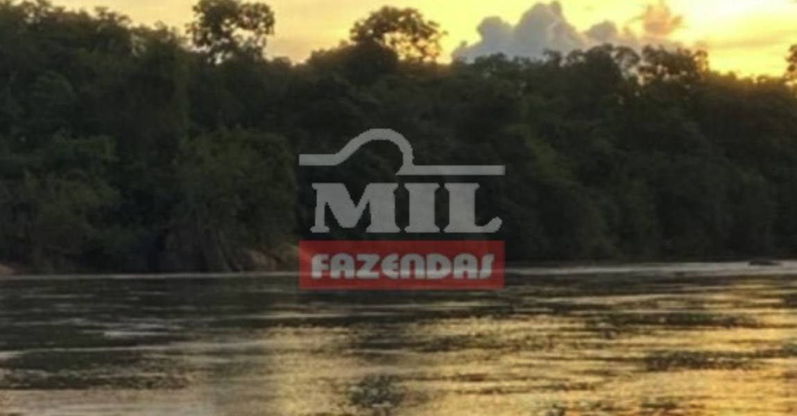 Fazenda em Conceição do Tocantins - Tocantins – Mil Fazendas