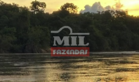 Fazenda em Conceição do Tocantins - Tocantins – Mil Fazendas