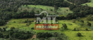 Fazenda em Dueré - Tocantins – Mil Fazendas