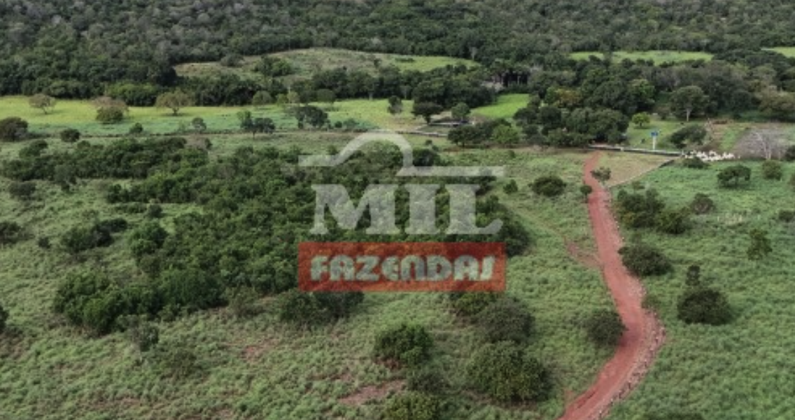 Fazenda em Dueré - Tocantins – Mil Fazendas