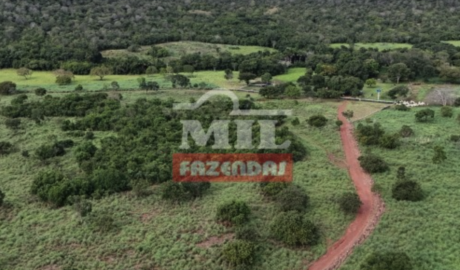 Fazenda em Dueré - Tocantins – Mil Fazendas