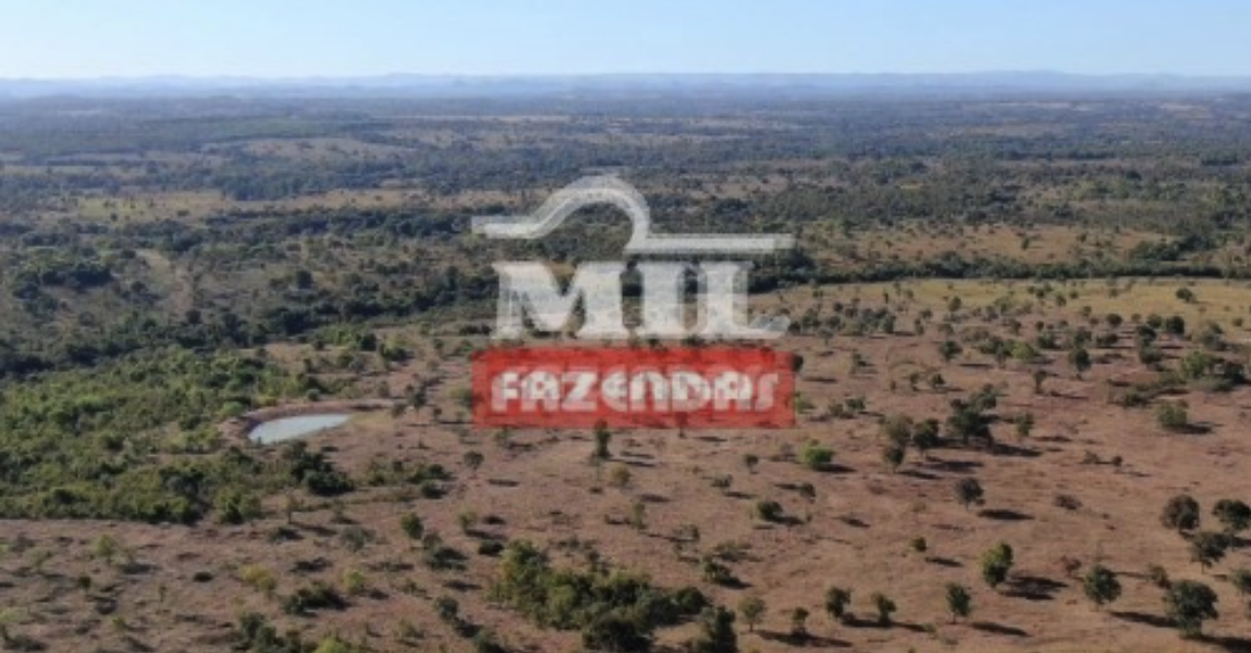 Fazenda em Faina - Goiás – Mil Fazendas