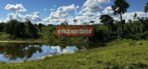 Fazenda em Figueirópolis - Tocantins - Mil Fazendas 