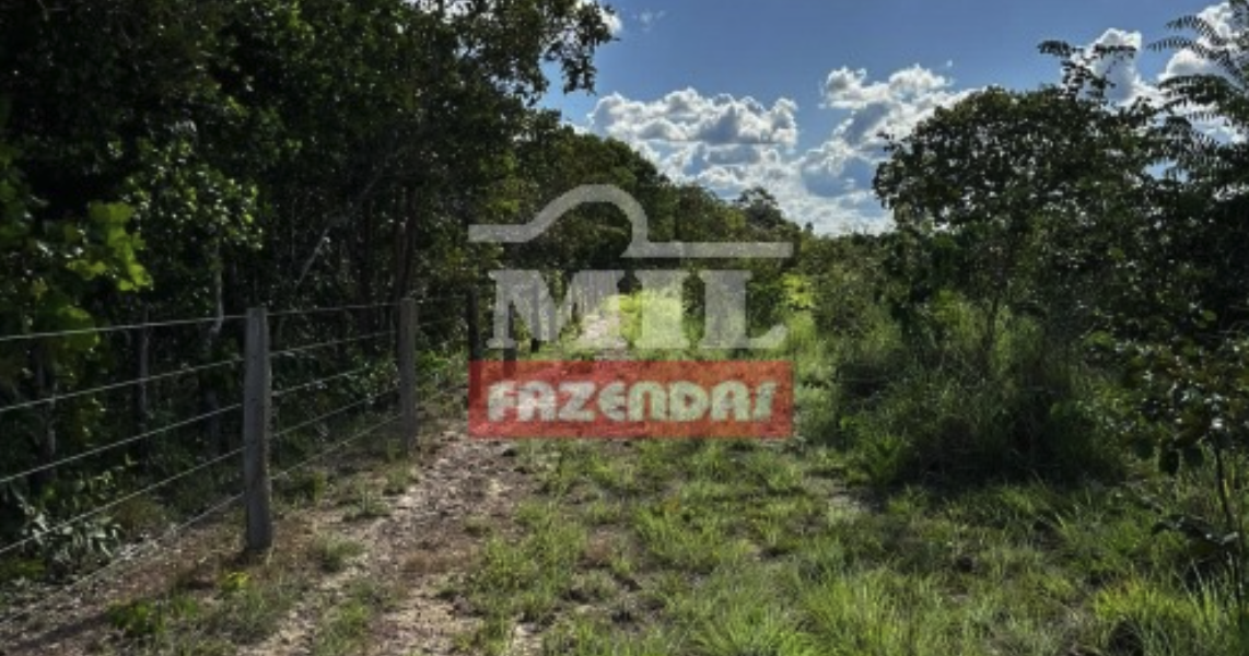 Fazenda em Figueirópolis - Tocantins - Mil Fazendas