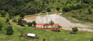 Fazenda em Goiás - Goiás – Mil Fazendas