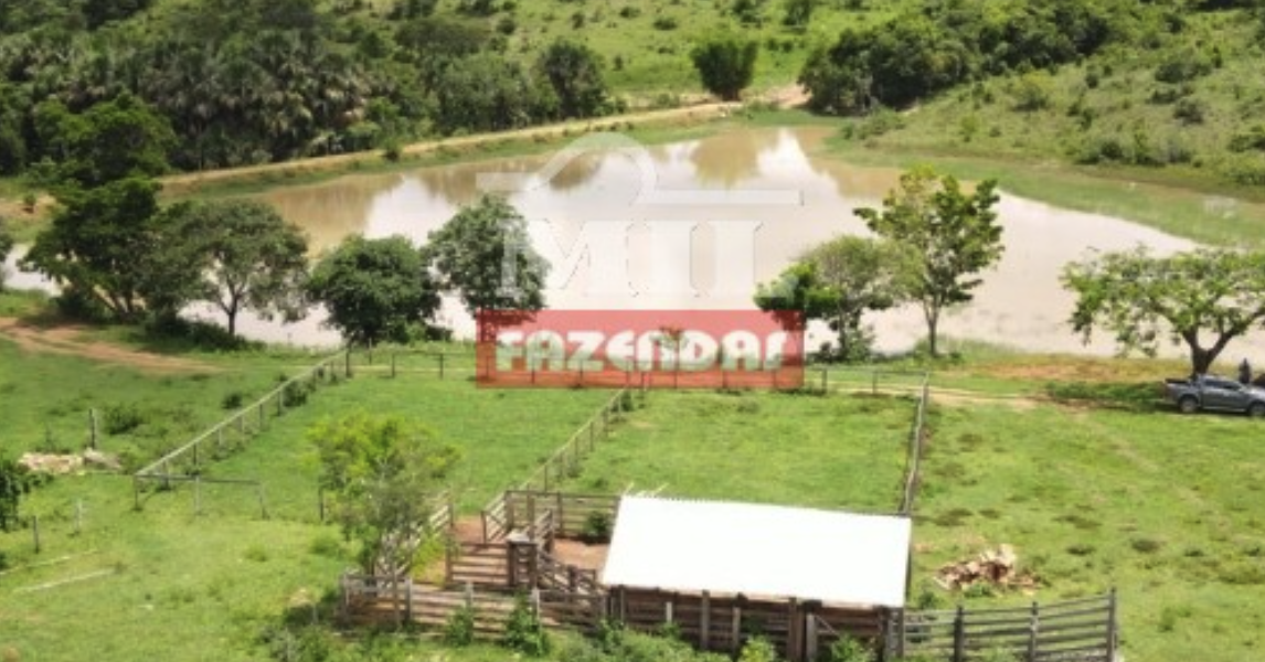 Fazenda em Goiás - Goiás – Mil Fazendas