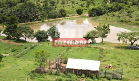 Fazenda em Goiás - Goiás – Mil Fazendas