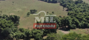 Fazenda em Itapaci - Goiás – Mil Fazendas